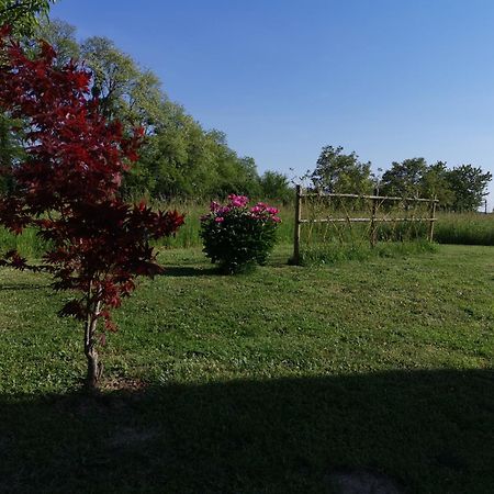 La Ferme De La Terve Bed & Breakfast Bruailles ภายนอก รูปภาพ