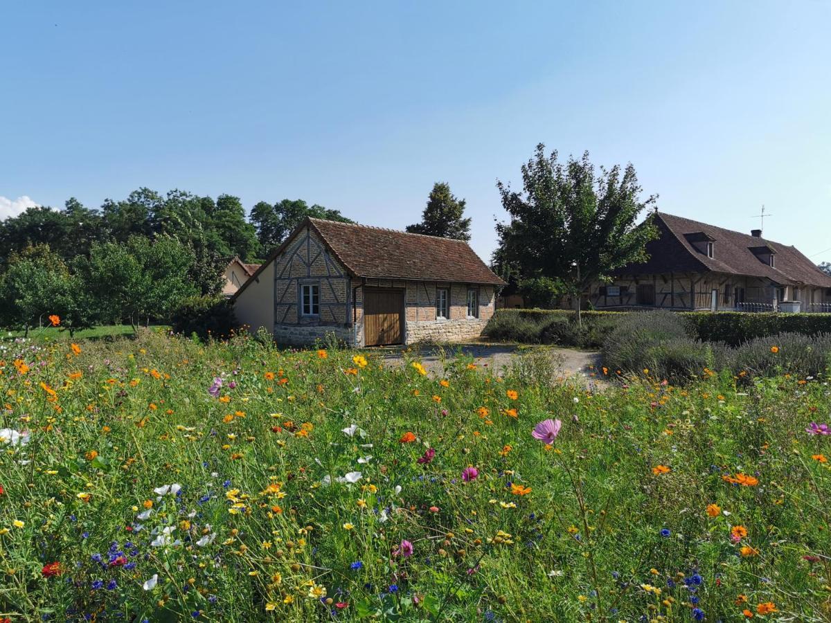 La Ferme De La Terve Bed & Breakfast Bruailles ภายนอก รูปภาพ