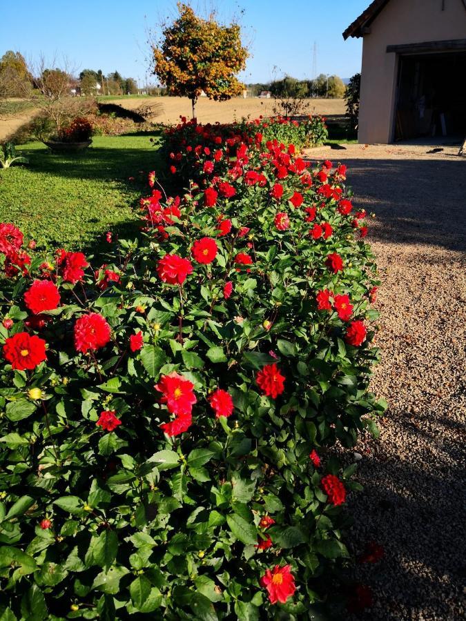 La Ferme De La Terve Bed & Breakfast Bruailles ภายนอก รูปภาพ