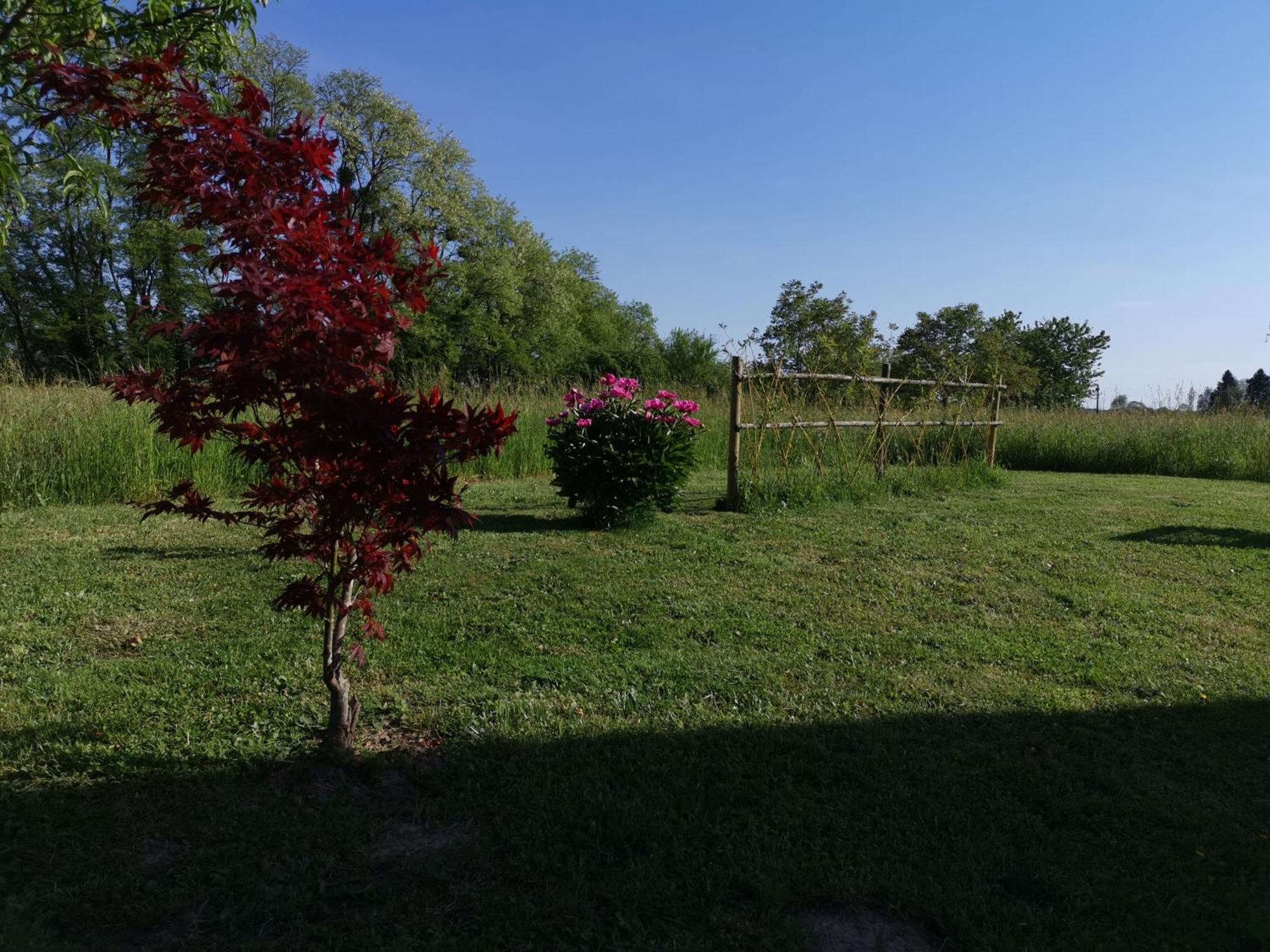 La Ferme De La Terve Bed & Breakfast Bruailles ภายนอก รูปภาพ