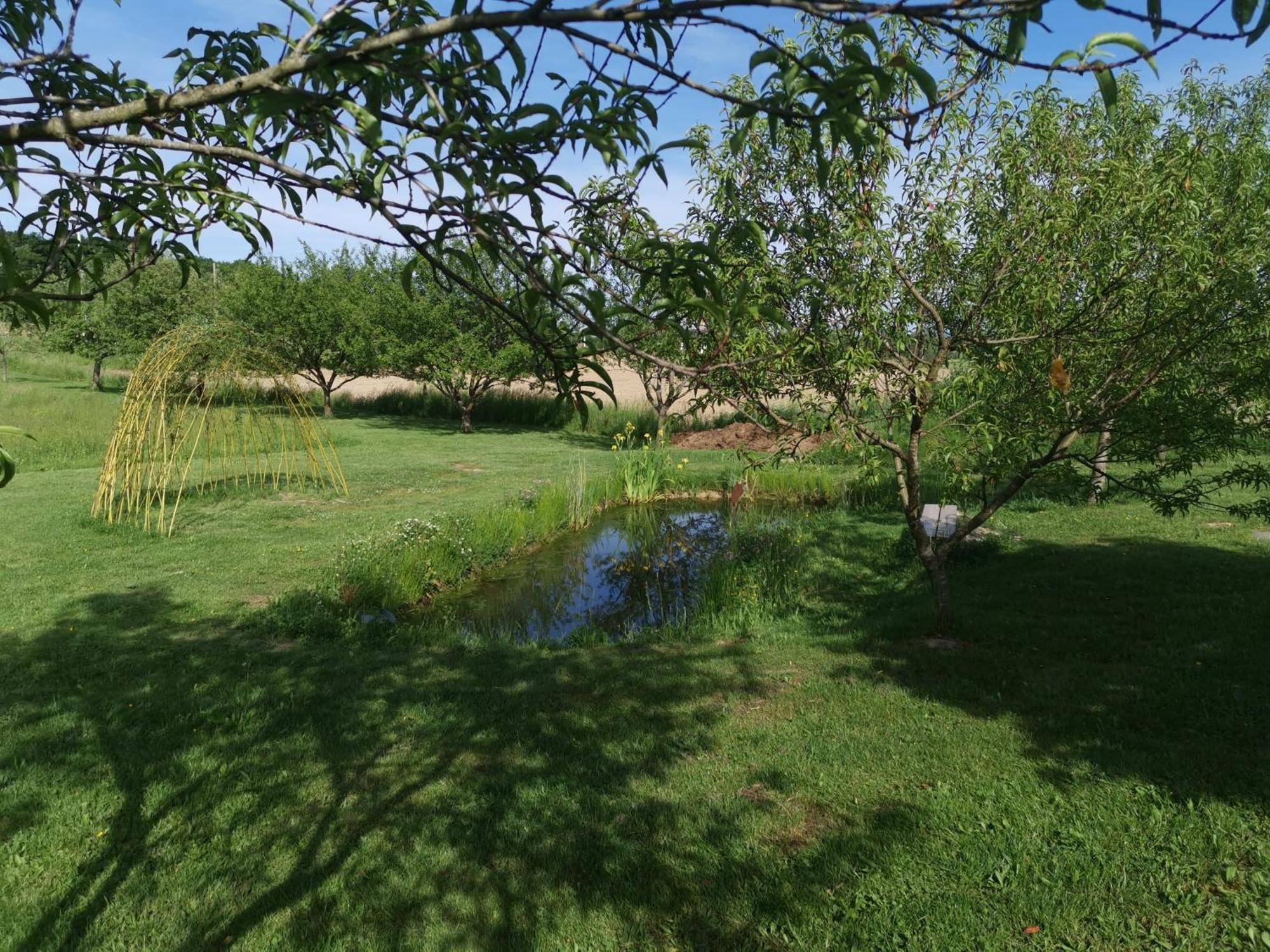 La Ferme De La Terve Bed & Breakfast Bruailles ภายนอก รูปภาพ